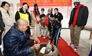 四海一家寻年味， “糕糕”兴兴迎龙年